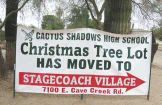 tree sale sign
